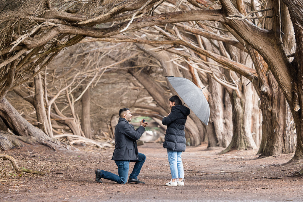 coastal forest surprise proposal in tree tunnel