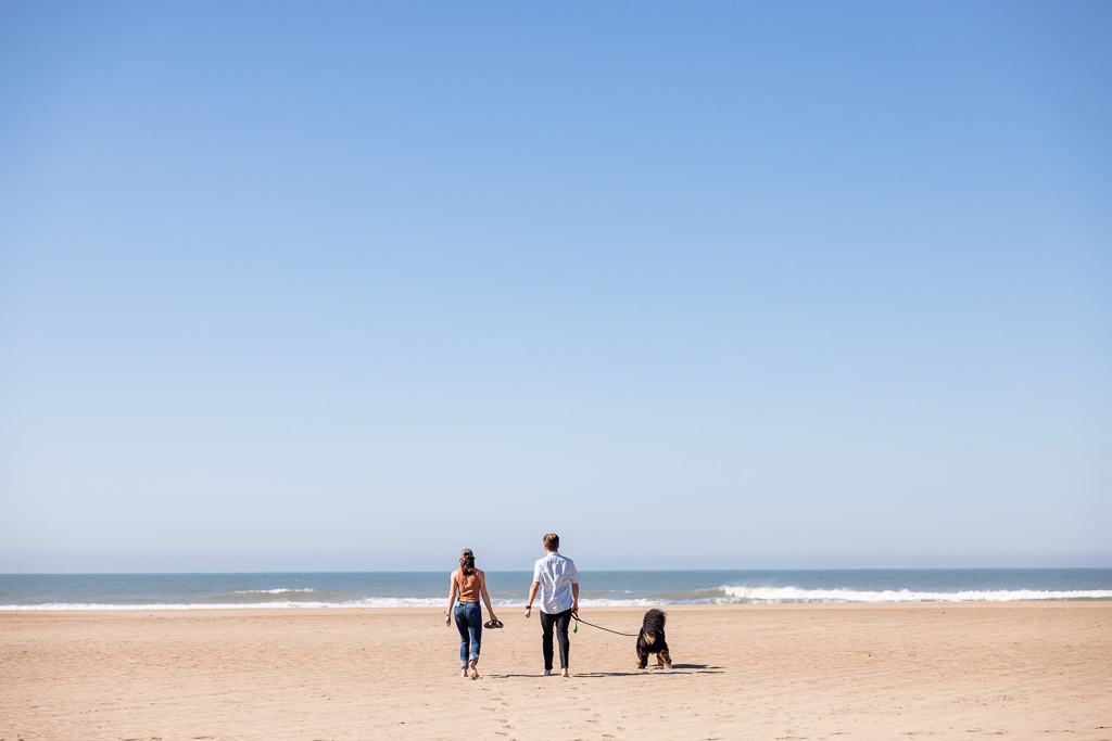 a couple and their dog walking towards the ocean on a large beach