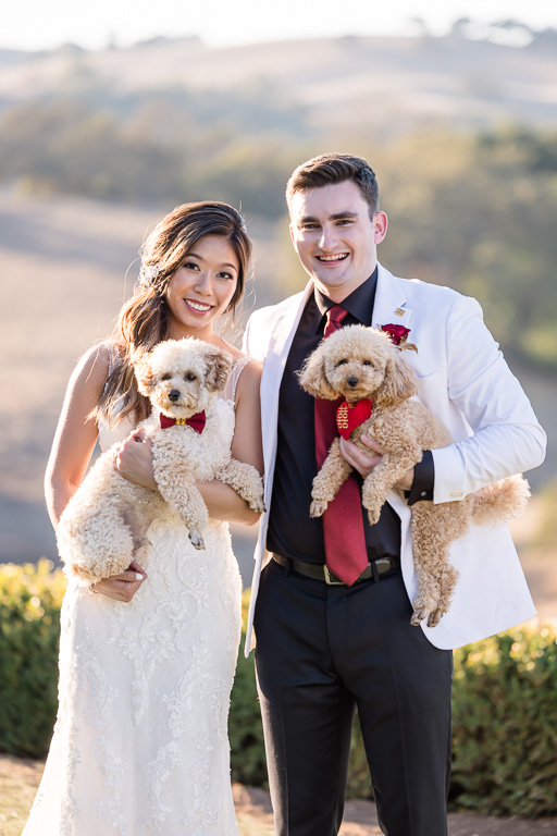 bride and groom with their two dogs