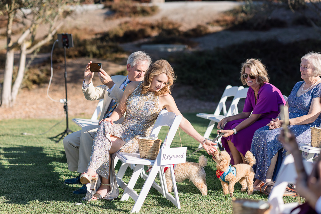 parents of the groom taking photos and petting their dogs