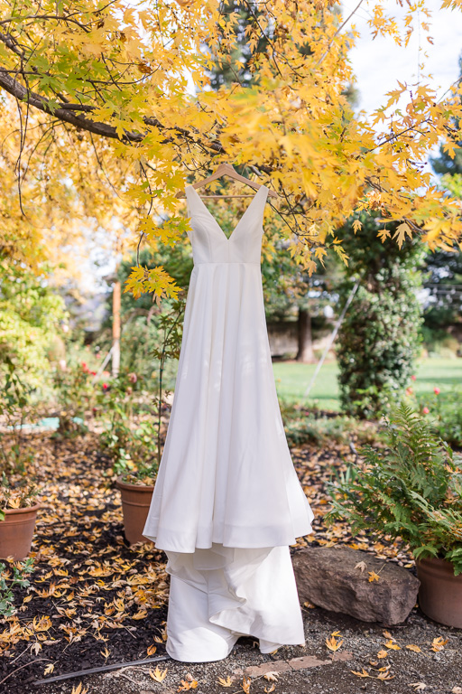 wedding dress hanging in a tree with colorful fall leaves