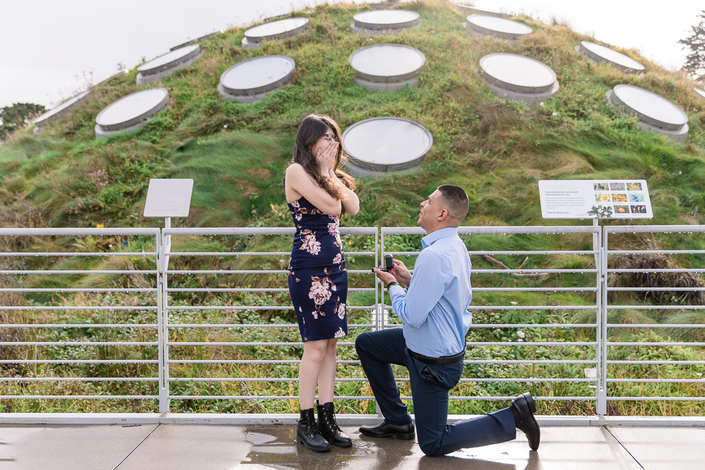 rooftop surprise proposal at the California Academy of Sciences