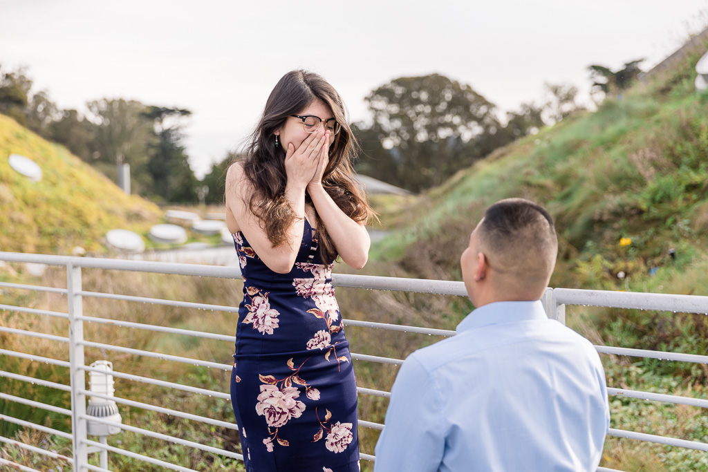 Cal Academy rooftop proposal