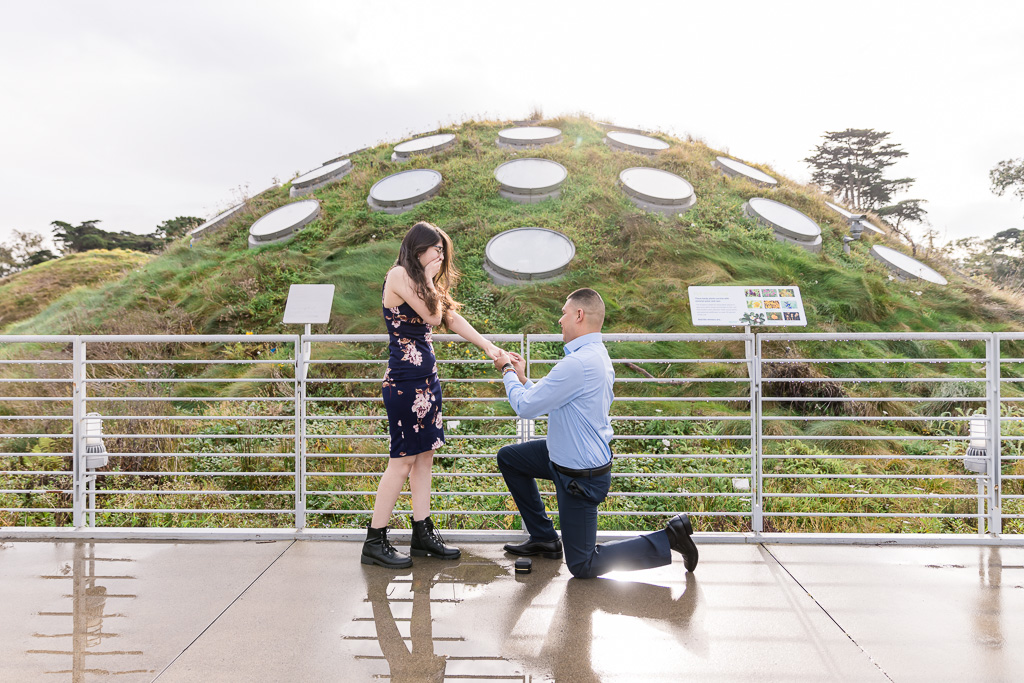 Cal Academy living roof surprise proposal