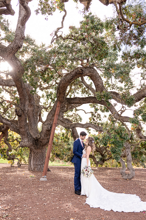 sunny wedding portraits at the oak tree at The Club at Ruby Hill