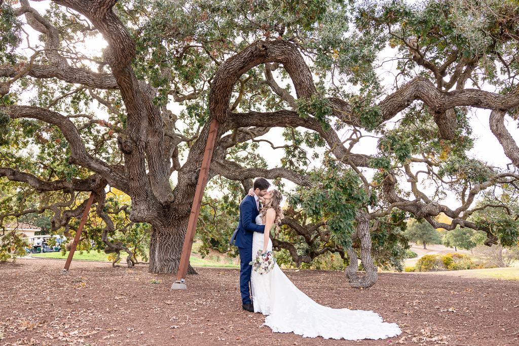 bride and groom kissing under a giant oak tree