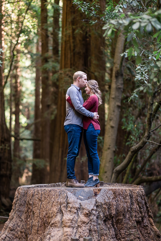 engagement photos standing on a giant redwood tree stump
