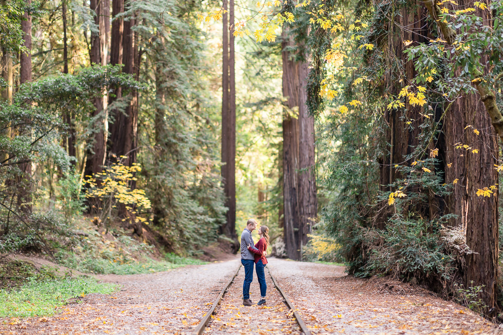 yellow and orange fall-colored engagement photos on Henry Cowell Redwoods State Park railroad tracks