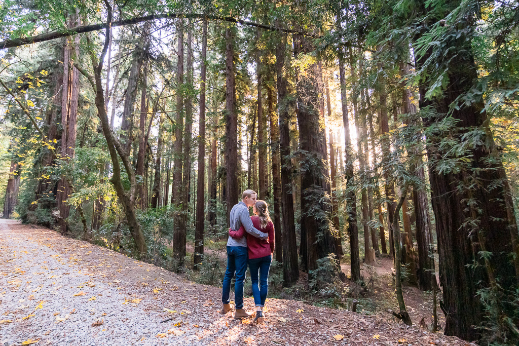 engagement photos at Henry Cowell Redwoods State Park in Felton