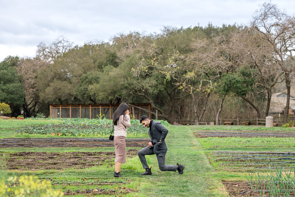 The French Laundry garden proposal