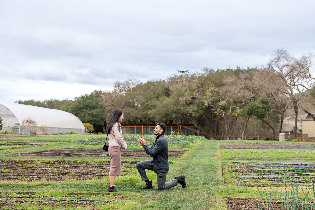 The French Laundry outdoor vegetable garden surprise proposal