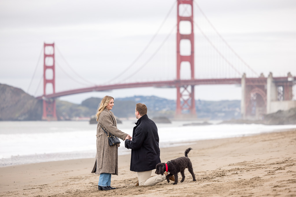 Baker Beach surprise proposal with cute puppy