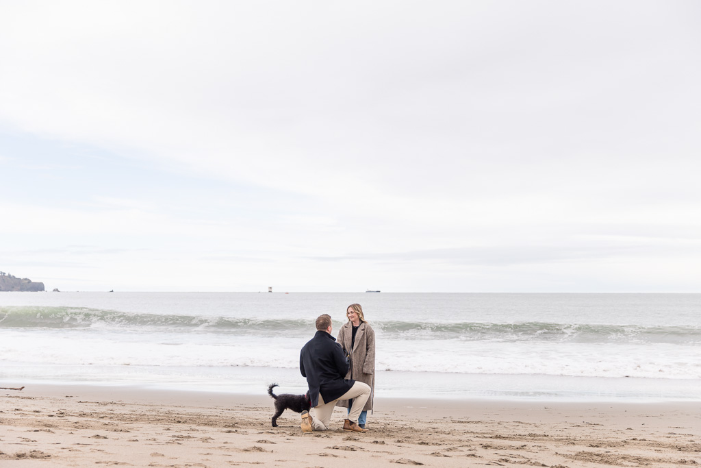 oceanside beach surprise proposal with dog