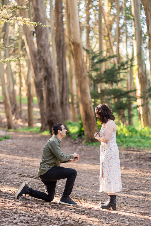 surprise proposal at Lovers’ Lane