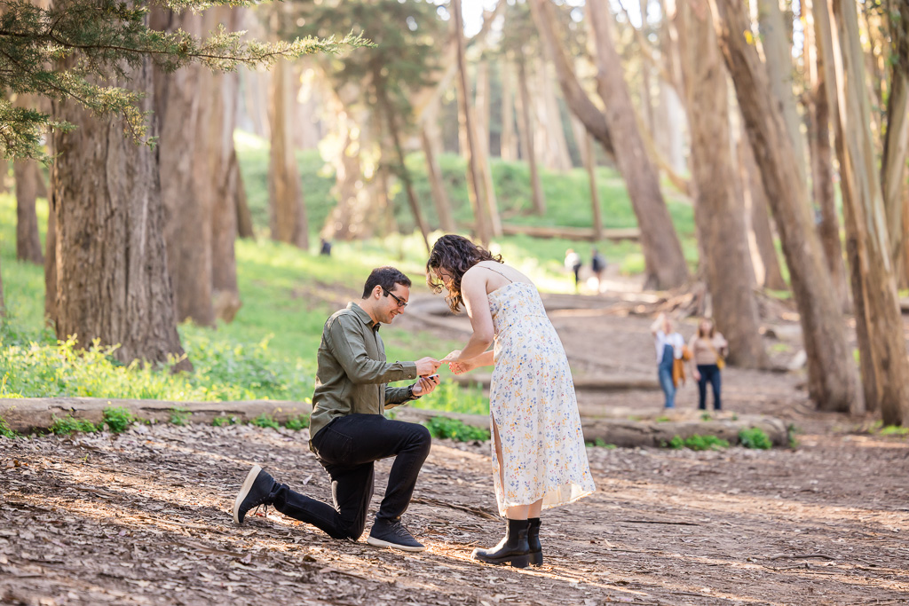 surprise proposal at San Francisco Lovers’ Lane