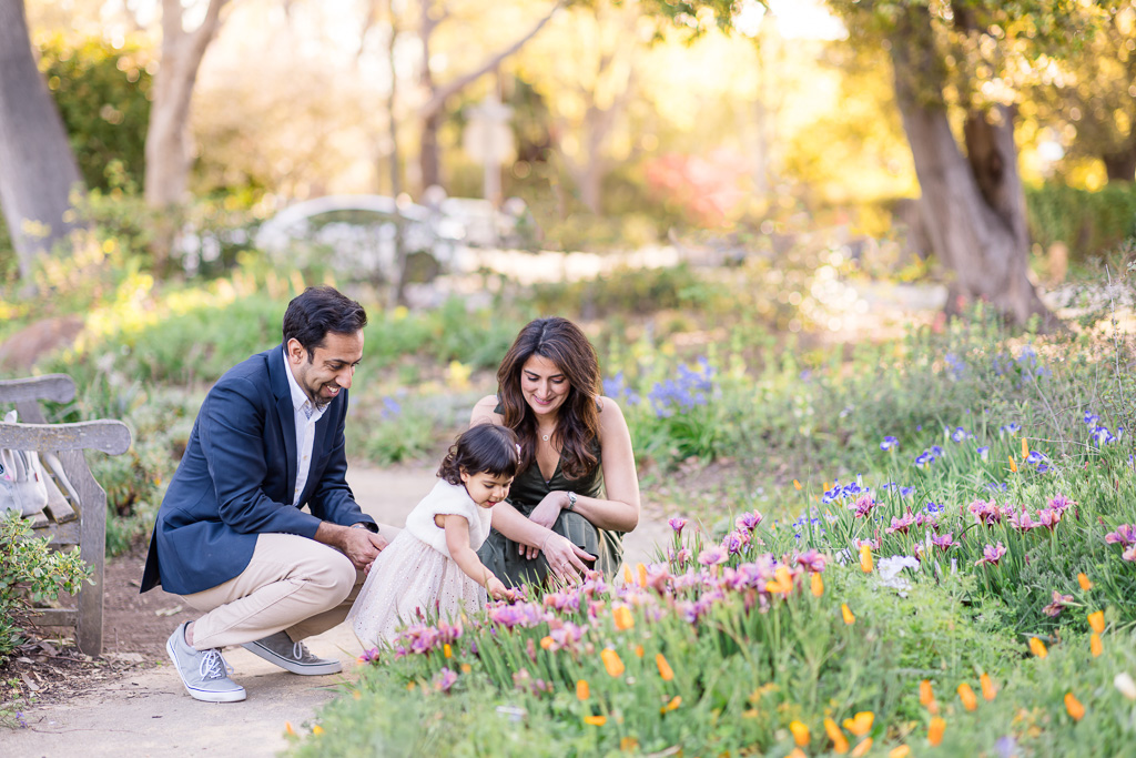 family photos in colorful flower garden in the spring