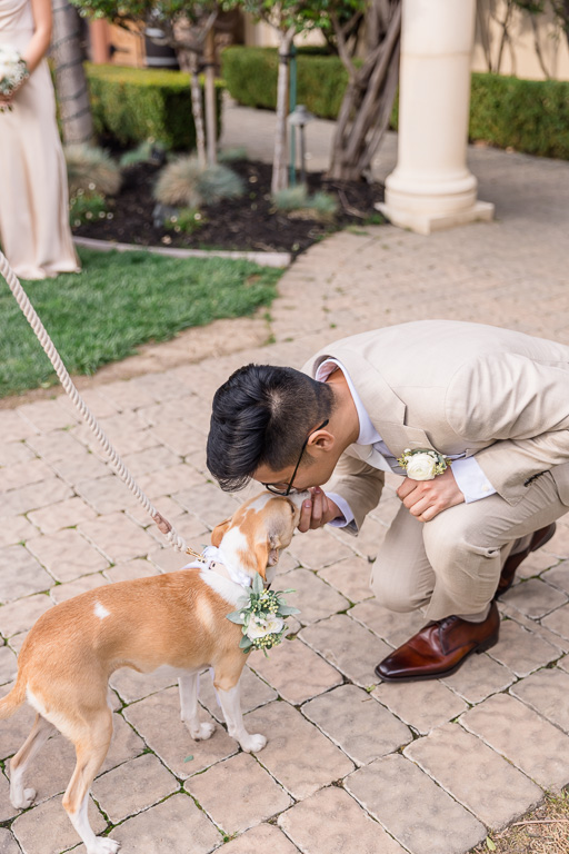 groom kissing their puppy at the end of aisle