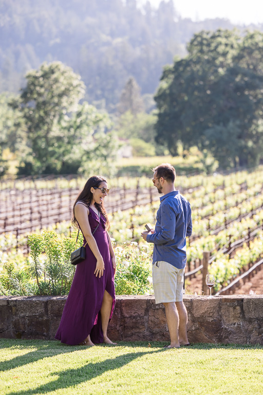 winery proposal in Napa