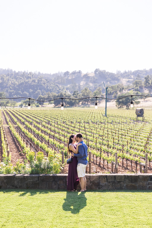 vineyard proposal