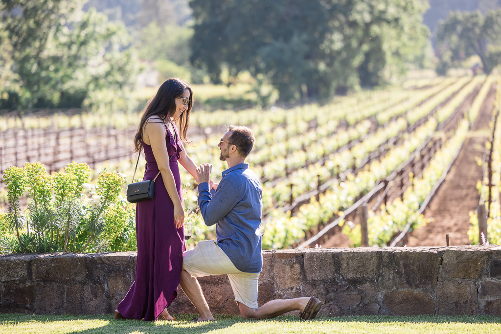 surprise proposal at Jax Vineyards