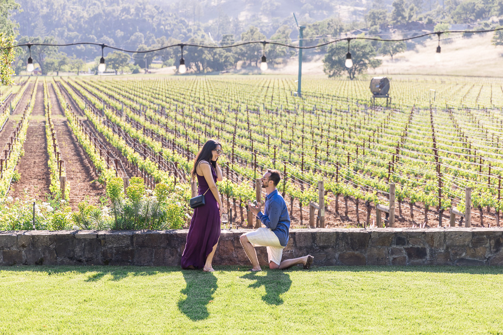 Napa surprise engagement proposal at Jax Vineyards