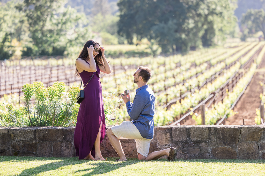 Napa vineyard surprise proposal