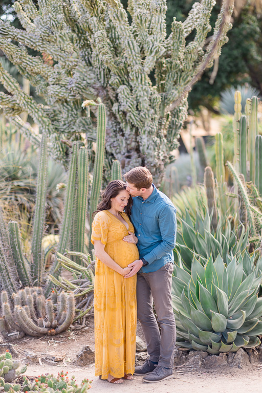 Stanford Arizona Cactus Garden maternity couple portraits