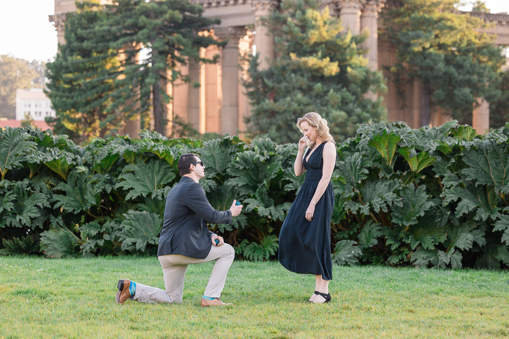surprise engagement at the Palace of Fine Arts