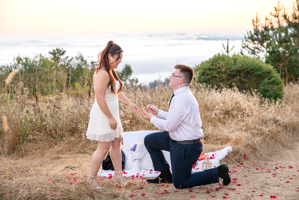 surprise proposal in the Berkeley fire trails at Grizzly Peak