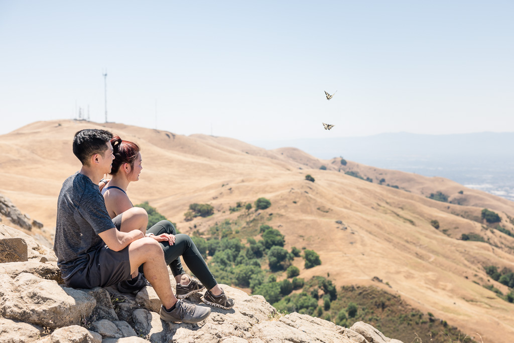 couple looking out into the distance off a mountain while butterflies fly nearby