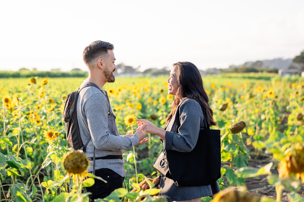 surprise marriage proposal in bay area sunflower field