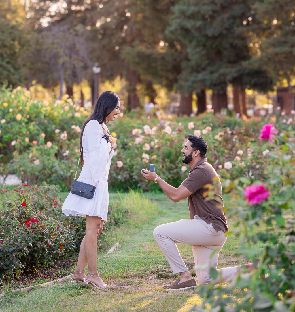 San Jose Rose Garden surprise proposal during golden hour