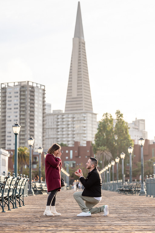 San Francisco downtown surprise proposal