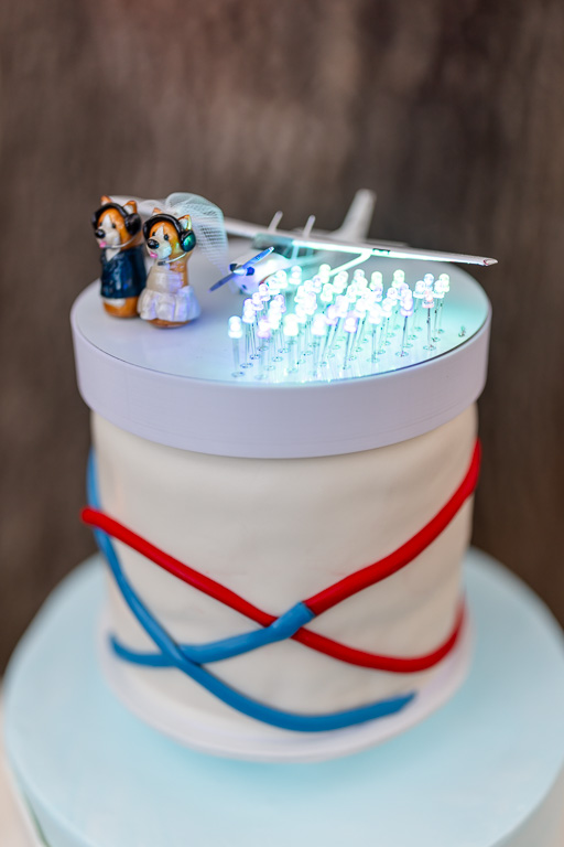 a pair of Corgi pilots w/airplane and LED color changing cake topper