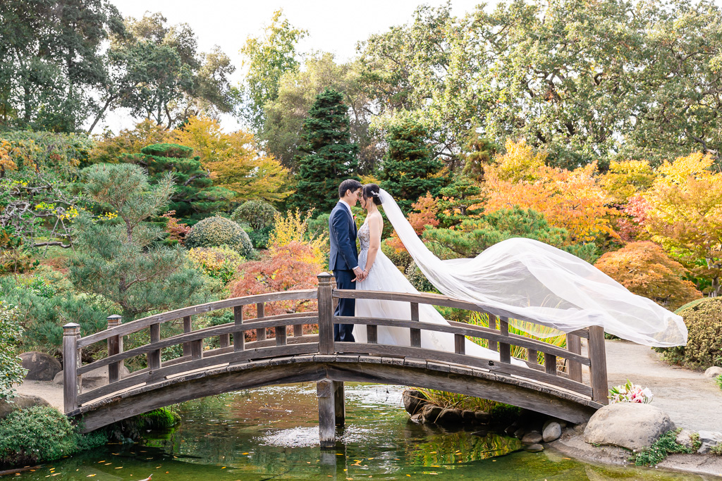 beautiful Hakone Gardens wedding with fall colors