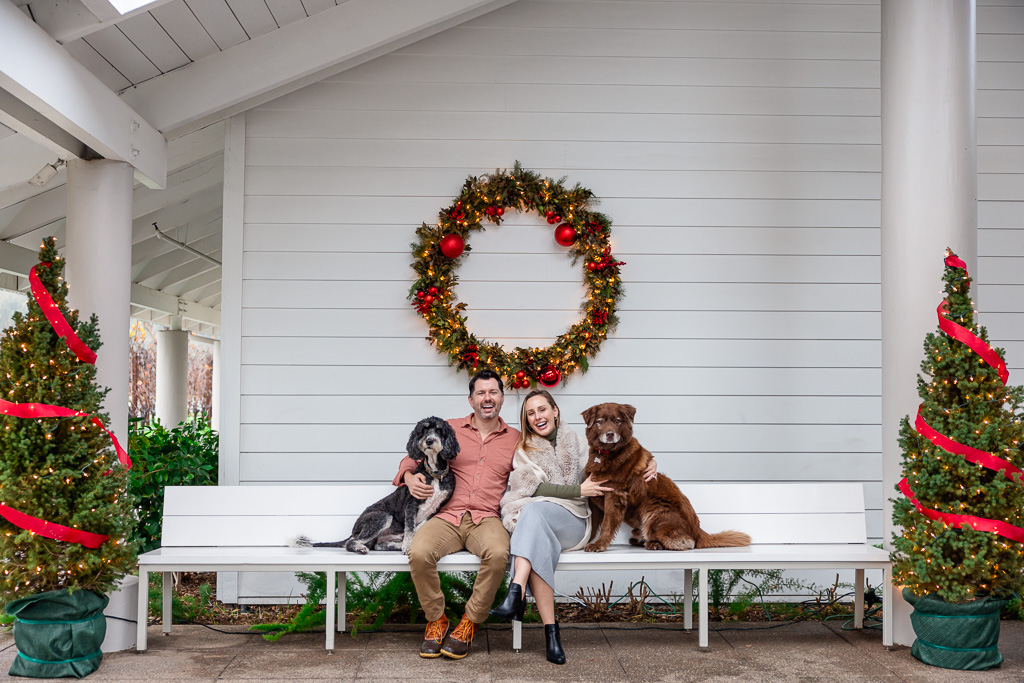 holiday family photos on a bench with dogs and a big wreath