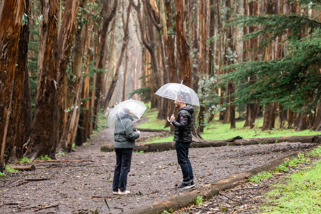 couple standing in the rain under umbrellas