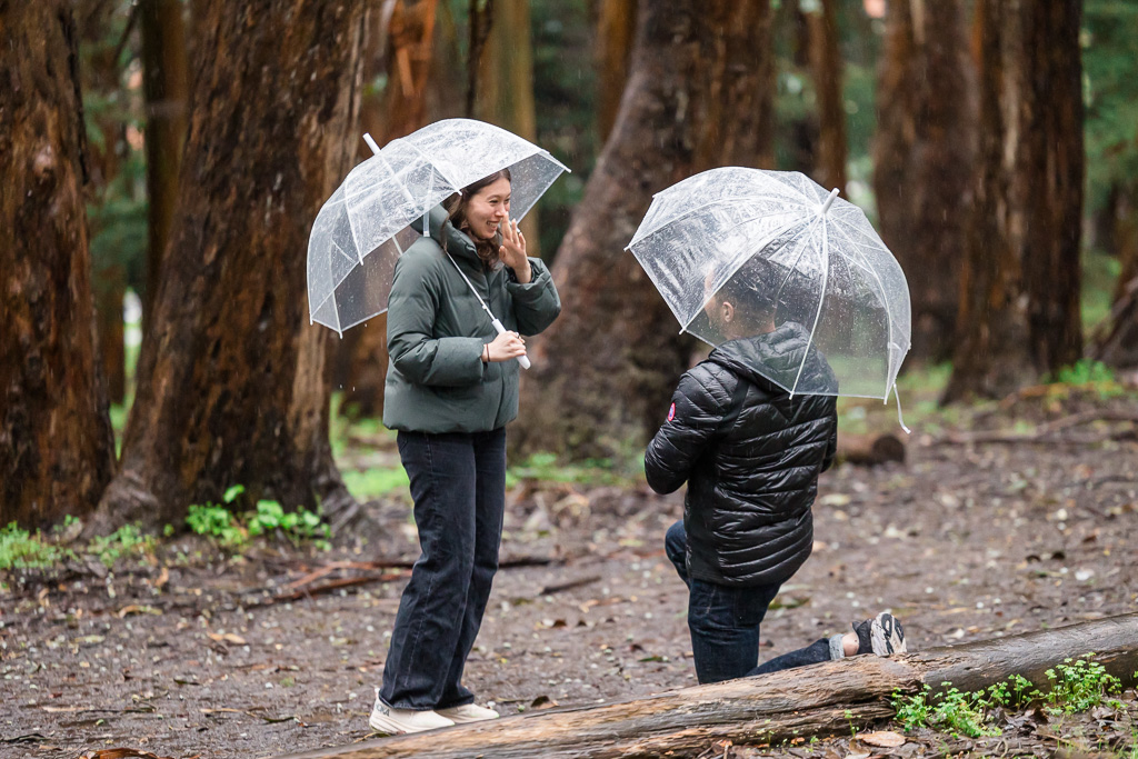 surprise proposal in the rainy woods