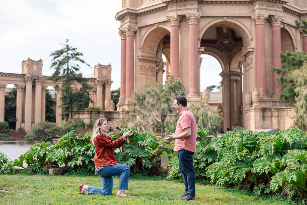 reciprocal double mutual proposal at the Palace of Fine Arts