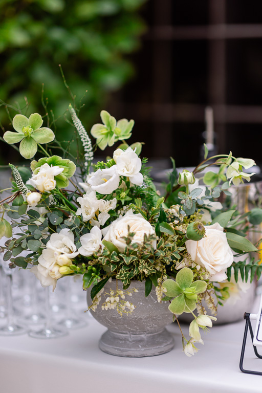 flower in a vase