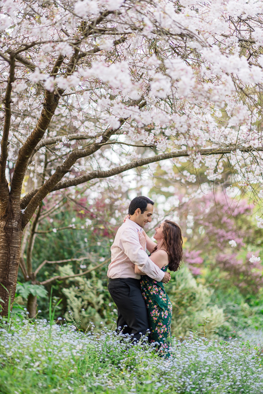 engagement photos under pink flower blossoms in tree