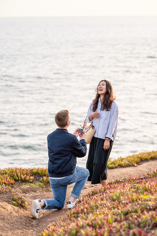 surprise proposal on a cliffside near the ocean