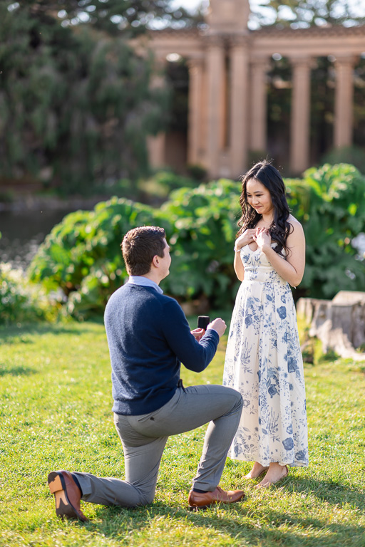 engaged at the Palace of Fine Arts