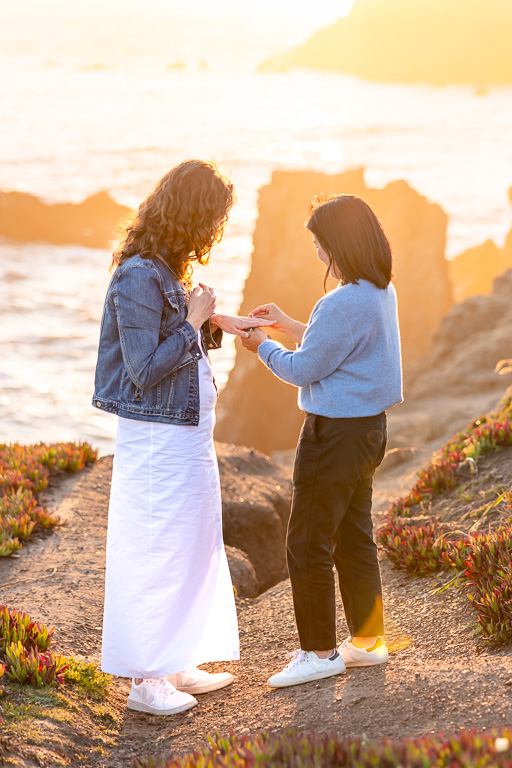 same-sex marriage proposal