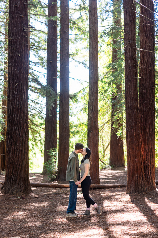 Reinhardt Redwood Regional Park engagement photos