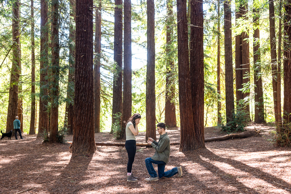 surprise marriage proposal at Reinhardt Redwood Regional Park