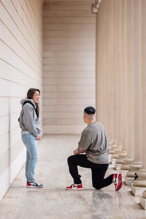 Legion of Honor columns surprise proposal