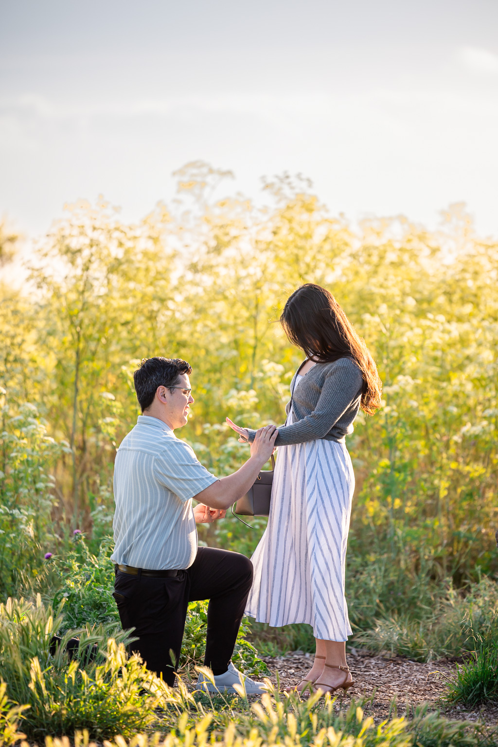 surprise marriage proposal in a grassy field at sunset