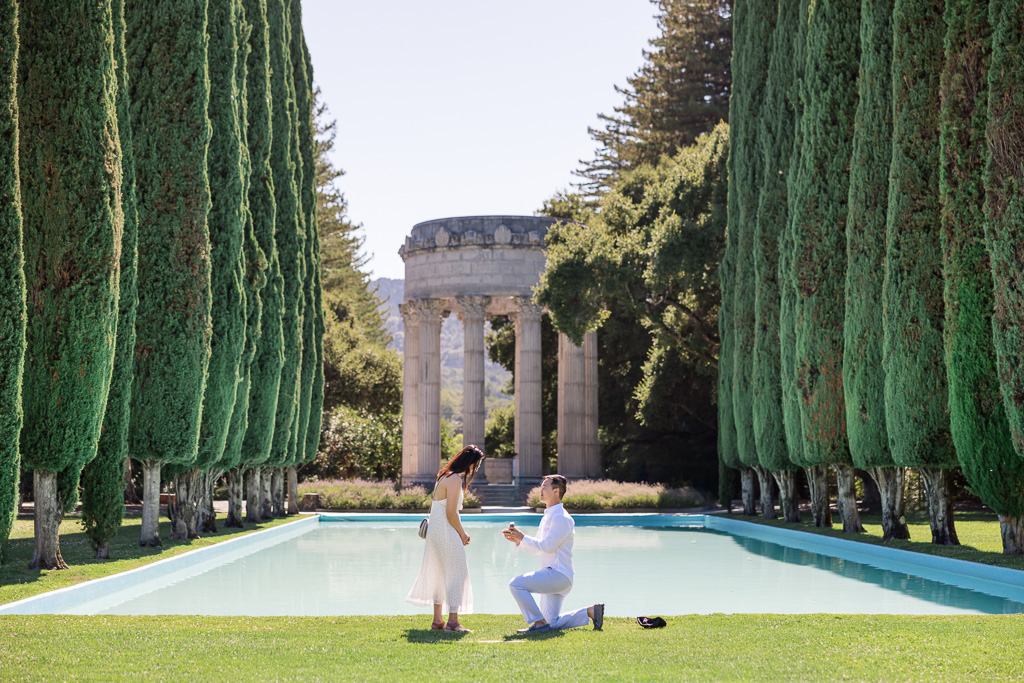 Pulgas Water Temple surprise marriage proposal