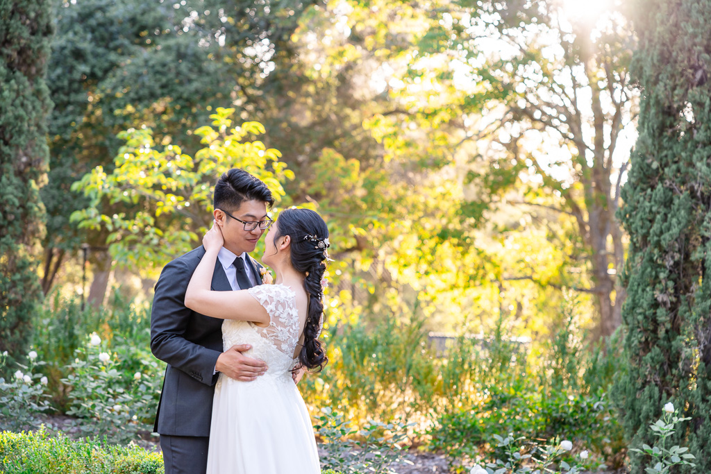 Montalvo Arts Center wedding photos with golden light peeking through trees